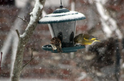 945099ae-aae3-4002-9105-266839ce4e46