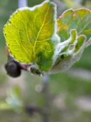 da3ce938-d6ef-45b4-ad05-8f102cd5ddf8