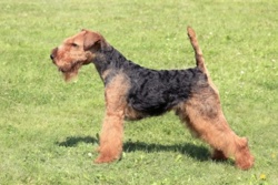 87d48f7d-1314-4ef2-b4a4-31a9e83498d9