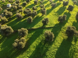 3bdafbac-665e-40b2-a31a-f87458eba559