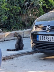 0d494755-cbe7-4526-93c2-3456c3516fba