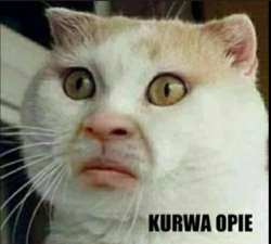 030736ad-5a63-4865-8080-5579fea22932