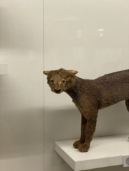 15e0dcb0-1b3b-4387-9922-6b71e390faab