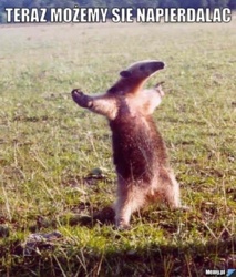 aece4ab5-9e8f-46ad-a700-3dce767276f4