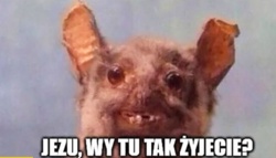 68aa6ba0-3968-4b9f-888a-ead24f41bcb9