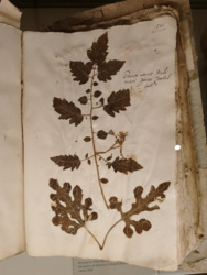 a6ff3e1b-4948-4047-add6-3efd09904938