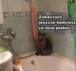 b62f6856-6afa-4096-89e6-c0540cb561b9