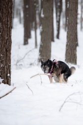 77b0711d-bb65-46c1-ba23-0c17d2a6e13a