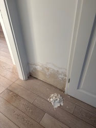 e1c7b811-1745-4000-8524-5fbe4d9efd79