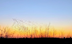 79404ff7-617d-49a5-a290-60ef1cf9aa44