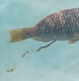 f6f44804-28dc-470c-b75d-c9c796327f2e