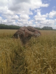 67d697ca-8b17-4bd0-90dc-26ae1704643d