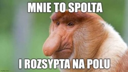 018e9e14-3f97-4624-8d3d-d31e96d93b31