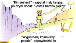 8e2e88f7-4e5c-41ac-bc11-a06b7e3ee313