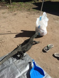 5f2b1c09-3112-49e0-b061-6662fef10399