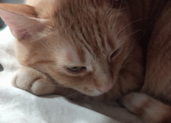 a1893f1c-e2d7-4b7f-8475-a75a44879ab7