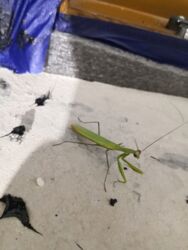 0fca591e-ad0d-40cc-9e54-cdfc7cdac227