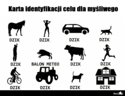 c13a9f24-a0d5-4fe4-a668-3c6e732a26f8