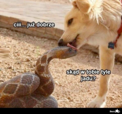 9a7e26e2-e5c2-4cbf-8c78-692ce15d574e