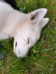 ac486a7b-3c2e-44b6-9462-ff3ea71f4273