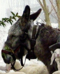 1c2e3833-bf36-4275-9f44-0df8ce19a54e