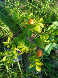 63cc8e03-44b5-4682-8861-7762caa3c6bb