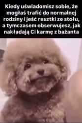 7f063c21-62ef-415d-8a36-9fc43f249fcc