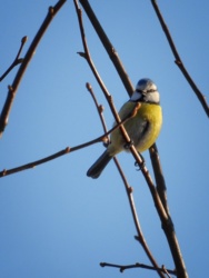 a0a7be3f-9666-4feb-ac4a-d1ef91366df3