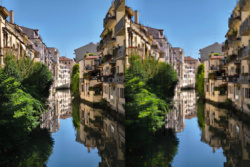 d33799a5-5415-4cd9-aa18-b69d7c234851