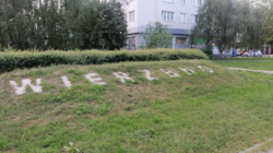 22b49e56-e3d1-4090-8141-c53642cb4c32