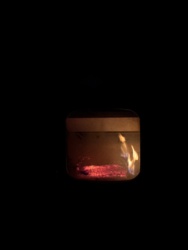 3392c1ad-ea78-4835-9ad6-354586197468