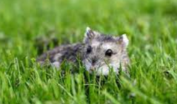 de4060ed-5bf5-474a-aa23-38bb0a2c83a6