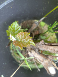 a7427cae-3845-4719-82a5-a404f01e94a8