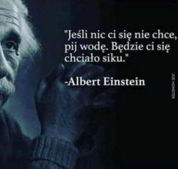 2b6aa803-8f53-494d-9905-b91d33ea80c6