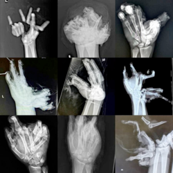 a1b866a6-c61b-48b1-b648-a33b43dec576