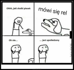 508e6d20-7b3e-4503-9481-a111fbd32bfc