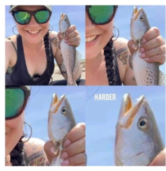 0a8be3b8-33ce-4ac8-b9ef-3f6d641028d6