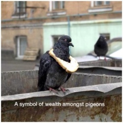 fe0a4c2f-3d4f-4628-80a7-51f63d5f43c9