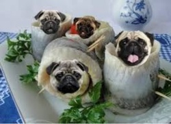 d69e95f4-a4fe-4d93-a0bf-d3495872c034