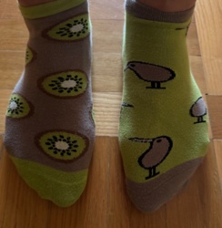 6e70317f-3454-4dec-a119-9e3b69304c0e