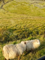 f6af8c8c-ebe3-4c66-becc-3d1089bc8de5