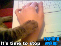 dc033d18-ba56-4209-89c3-7a08af085eb0