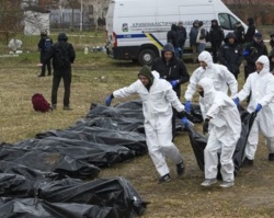 19f31ab2-c111-4bf7-a7d5-c530738e71f9