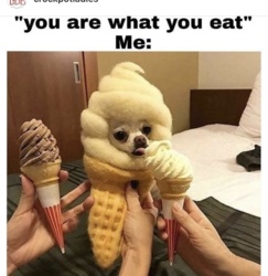 8683cd8c-1fc4-47c1-b607-9a016e75563a