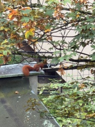 3b94db0f-b3ab-4fa8-ba84-2955ea2a970d