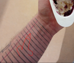 be933d1f-b881-4395-bd44-a10562d90f02