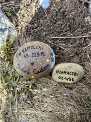 8d30510f-9932-472c-b2f7-bb01f4e7eb9d