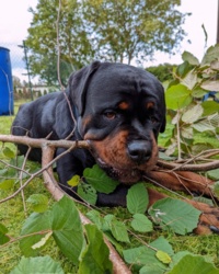 99d79d8c-ad4b-40ea-895b-3e9b46255b1b