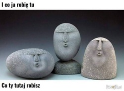 8f17a051-896a-4680-acce-9b5ceb0abce7