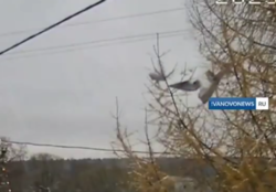 a9b75b40-74e6-40f4-8aee-0ea6c150be0d